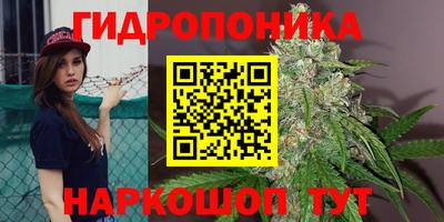 амф Партизанск