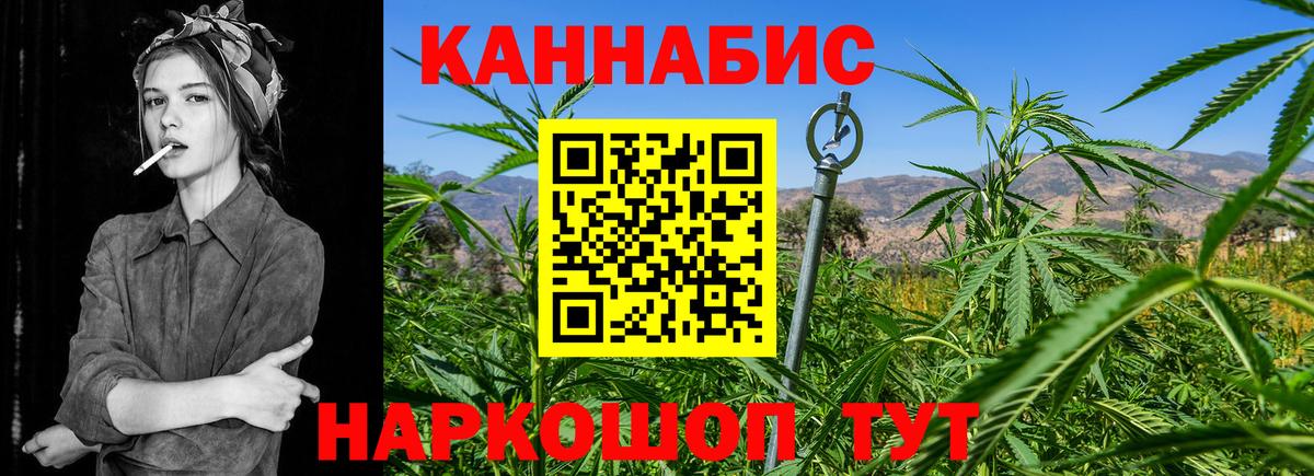 Свободный  Шишки марихуана план  Конопля Ganja  Каннабис планчик  Вход с VPN  Бошки Шишки сатива 